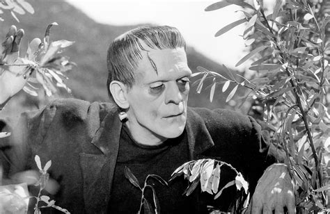 watch frankenstein 1931 full movie.